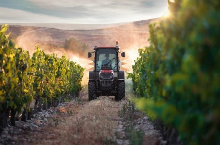 Case IH Quantum - ideální pro použití v úzkých řádcích na vinicích